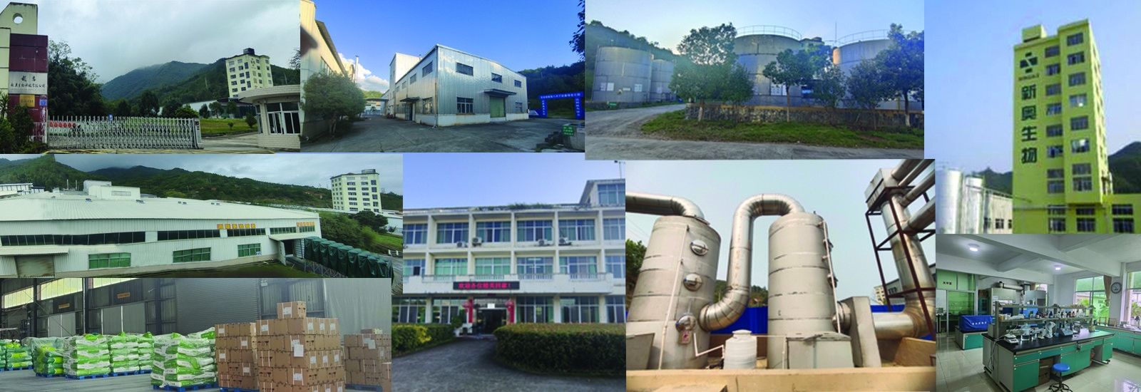 Kısa Zincirli Yağ Asitleri Bütirat