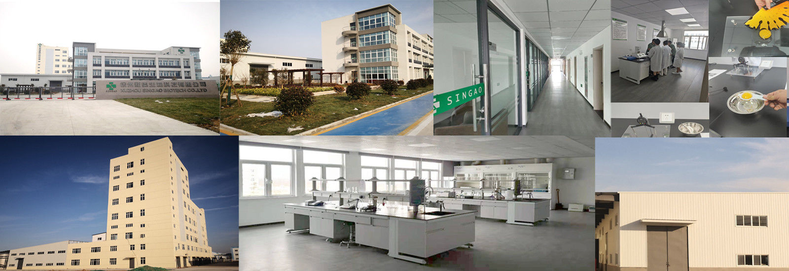 Kaplı Sodyum Butirat