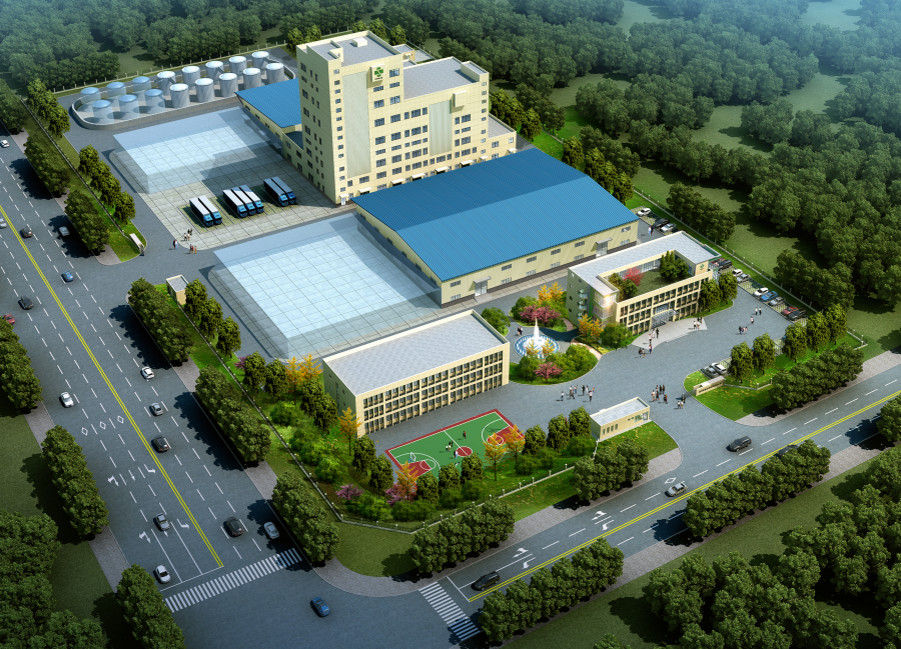Singao (Xiamen) Agribusiness Development Co., Ltd. fabrika üretim hattı