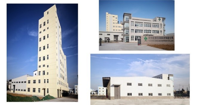 Singao (Xiamen) Agribusiness Development Co., Ltd. fabrika üretim hattı