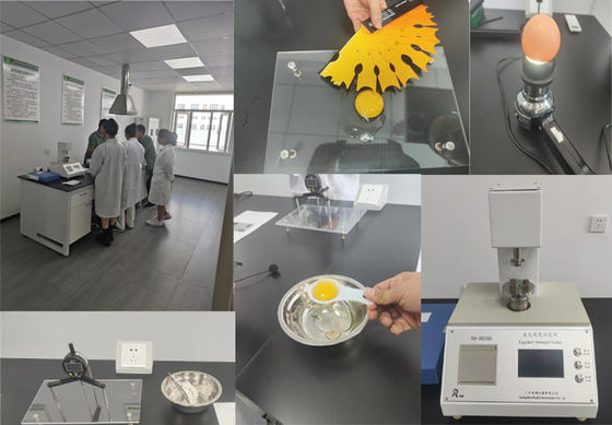 Top şeklinde granül Mikro kapsüllü Sodyum butirat % 90 Evcil hayvanlar için