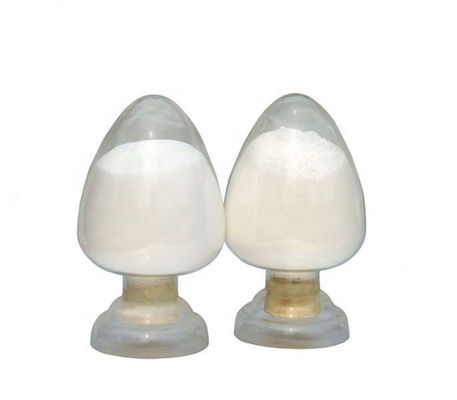 Odourless Growth Promotion Coated Sodium Butyrate 50% Minimum