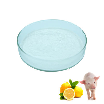 Spheroidal Particle C4H7O2Na 60% Sodium Butyrate Powder Plus Bile Acid