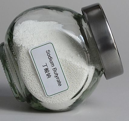 5743-36-2 % 70 Kalsiyum Butirat Tozu Artı Bacillus Licheniformis Beyaz