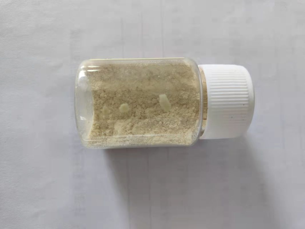 Swine Coated Sodium Butyrate 80% ISO Certificated With Vitamin E And Carotene