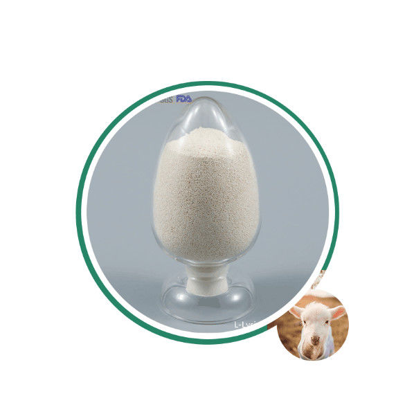 Yavaş Salınımlı %80 Kaplı Kalsiyum Butirat %50 Artı Sodyum Butirat %30 CAS 5743-36-2 Su Ürünleri İçin